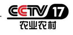 cctv直播电视频道大全,全面解析国家电视台丰富频道资源