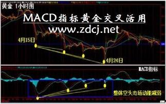 视频技术指标,揭秘高质量视频背后的奥秘