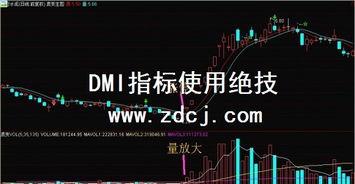 视频技术指标,揭秘高质量视频背后的奥秘